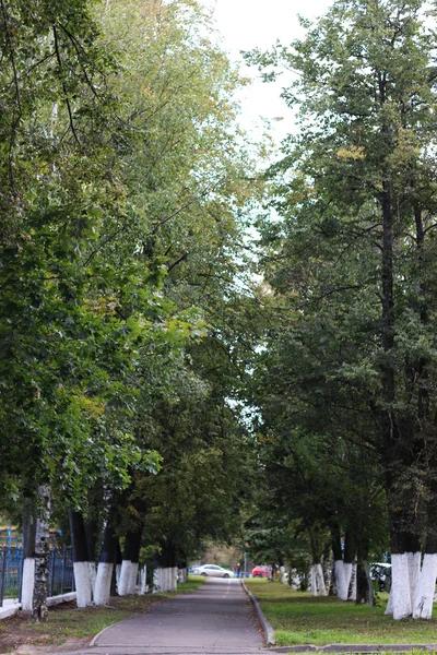 Park chodník na jaře — Stock fotografie