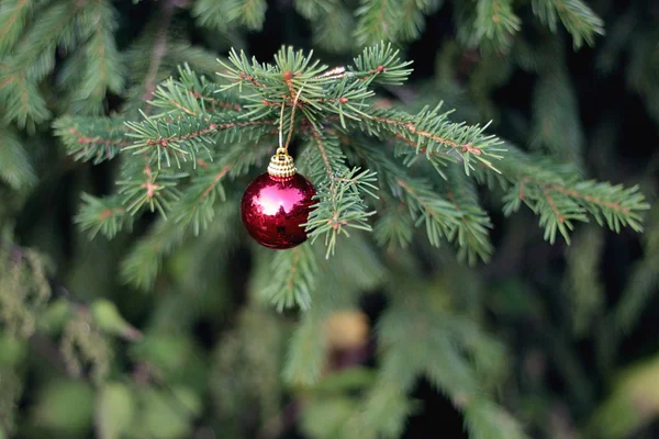 ağaç Noel oyuncak
