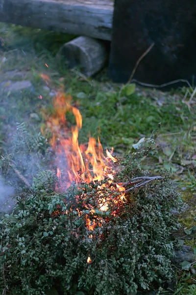 Flammen aus brennendem Busch — Stockfoto