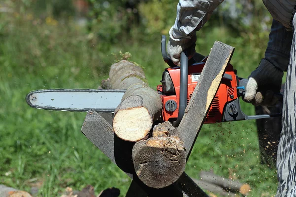 Motosierra para cortar leña — Foto de Stock