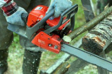 ahşap testere kesmek