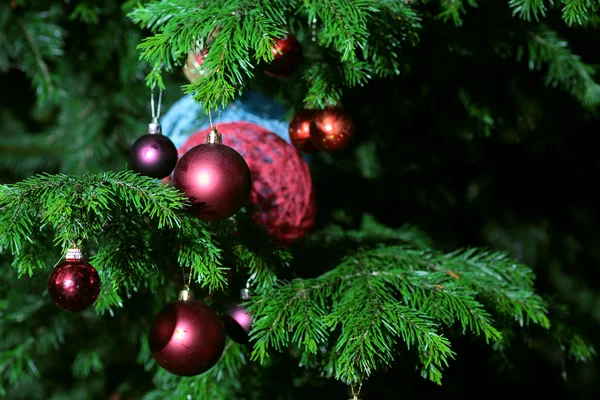Украшенные рождественские ёлки — стоковое фото