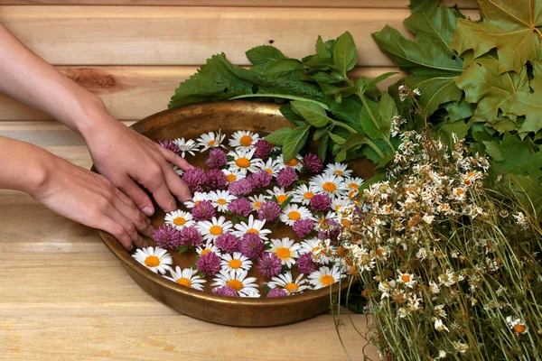 Spa tedavileri papatya çim eller — Stok fotoğraf