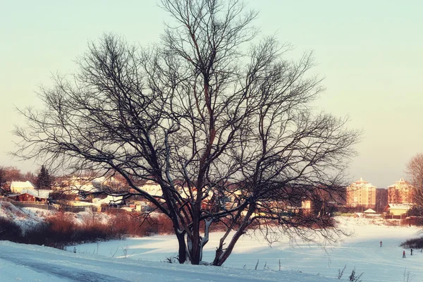 Landschap pad winter — Stockfoto