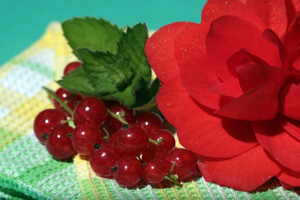 Grosella roja y una flor —  Fotos de Stock