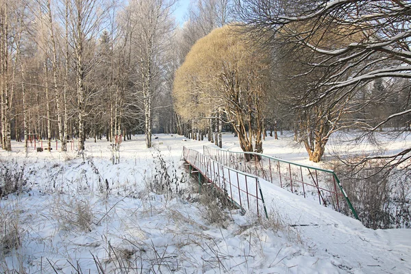 Inverno neve parque floresta — Fotografia de Stock