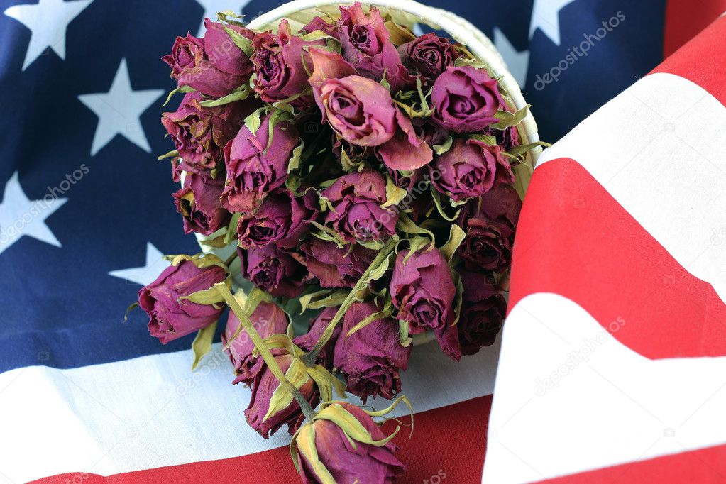 US flag rose flower