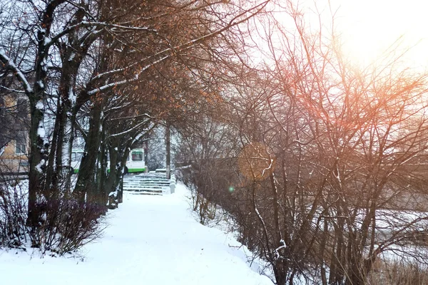 Callejón camino parque invierno —  Fotos de Stock