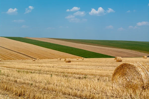 Рівнів з тюки — стокове фото