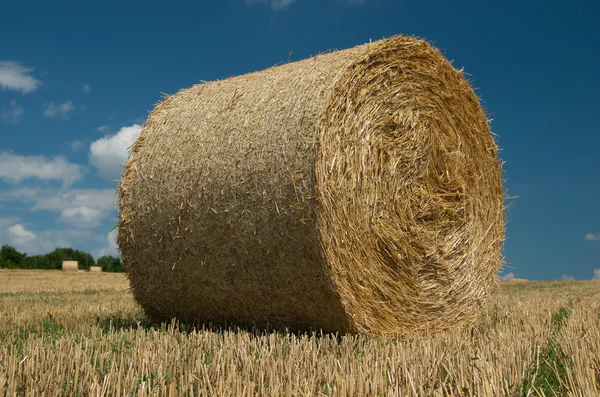 Bale of straw. — Stock Photo, Image