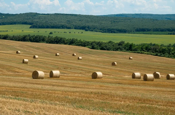 Strohballen. Ebenen mit Ballen. — Stockfoto