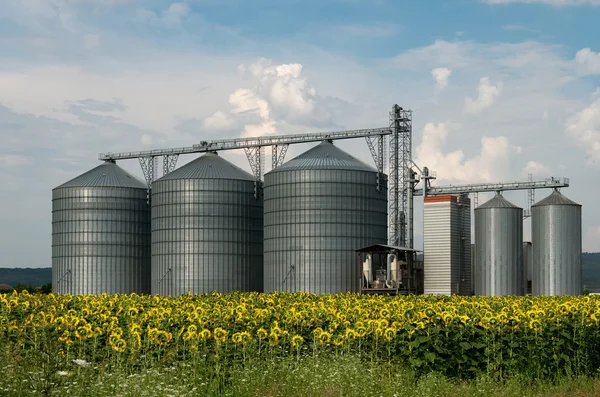 Silos zur Lagerung von Getreide. — Stockfoto