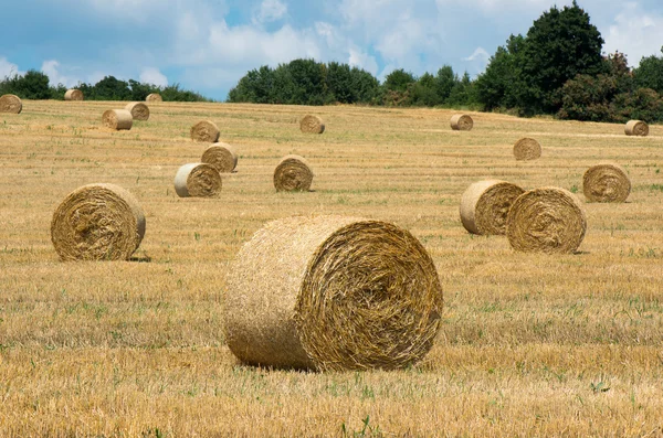 Strohballen. Ebenen mit Ballen. — Stockfoto