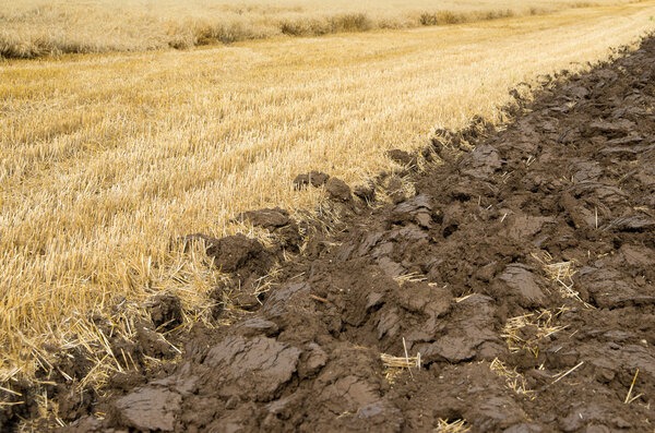 Сельскохозяйственное поле. Плуг после сбора урожая
.