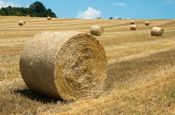 Strohballen. Ebenen mit Ballen. — Stockfoto