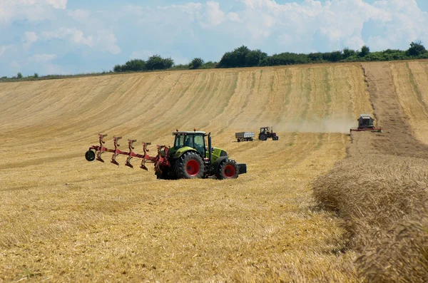 収穫。小麦の収穫. — ストック写真
