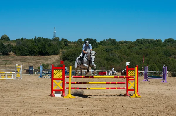 Springconcours, kwalificatie. Paardenrennen. — Stockfoto