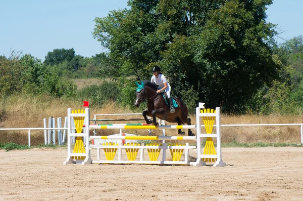 Calificador de salto. Carreras de caballos . — Foto de Stock