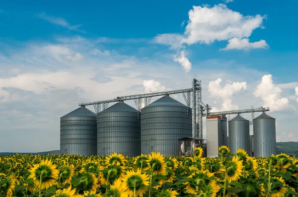 Silos zur Lagerung von Getreide. — Stockfoto