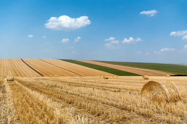 Tingkat dengan bales — Stok Foto