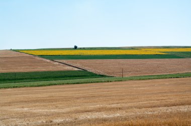 Ekilebilir tarım alanları ve tarım arazileri.