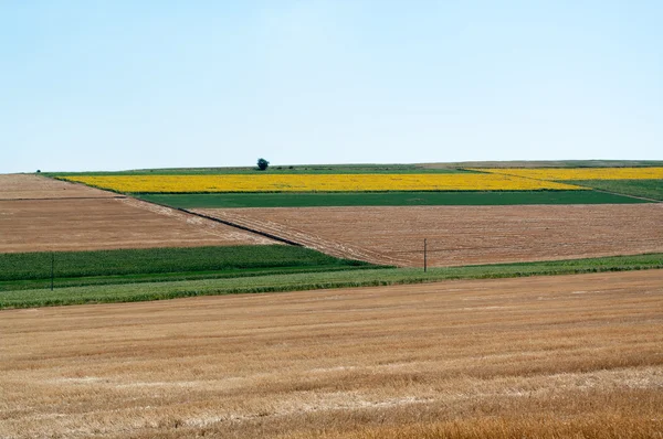 Ackerflächen und landwirtschaftliche Flächen. — Stockfoto