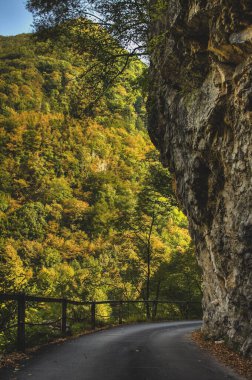 Asfalt bir yol yeşil ve kahverengi renklerle sonbaharın sonlarına doğru resimli bir sonbahar arkaplanının önünde taş bir uçurumun yanında kıvrılıyor..