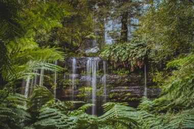 Russell Falls, Tazmanya 'nın Mount Field Ulusal Parkı' nda yaprakların arkasında saklanıyor. Fotoğraf gibi büyülü, peri masalı.