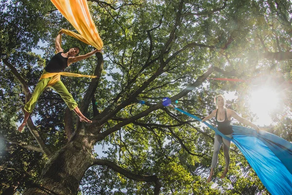 リュブリャナのティヴォリ公園で晴れた日に木から吊るされたロープで動きを行う空中シルクアーティスト — ストック写真