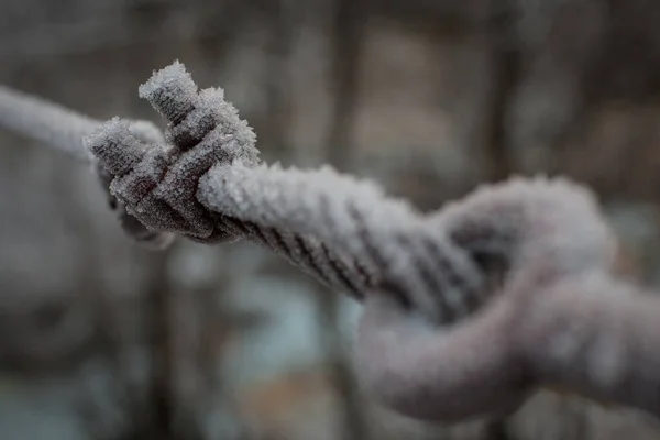 Dickes Mit Frost Überzogenes Seil Das Durch Einen Eisernen Haken — Stockfoto