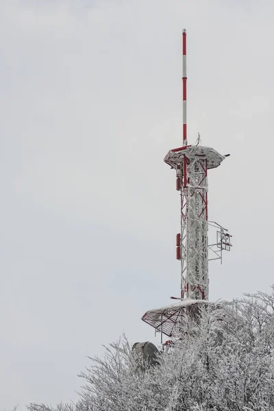 Antena Radiowa Telewizyjna Pokryta Śniegiem Lodem Mglisty Zimowy Dzień — Zdjęcie stockowe