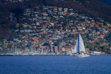 Hobart City marinasının yanından bir yelkenli geçiyor. Tepedeki evler arka planda.