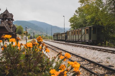 Ön planda bazı çiçekler ve Sırbistan 'ın Mokra Gora kentindeki Sargan sekizinci dar demiryolu hattında yolcu vagonları.