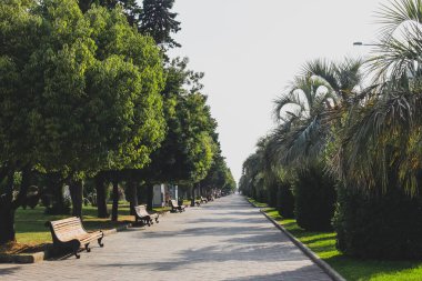 Yeşilliklerle, bahçelerle, ağaçlarla çevrili bir patika. Sol tarafta bir sıra park bankı görülüyor..