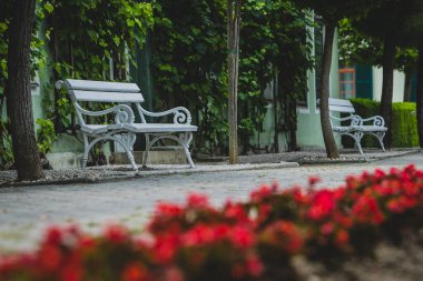 Binanın önündeki bir parkta beyaz ahşap ve metal bir bank. Ön planda hafif bir odak noktasında çiçekler. Arka planda bir bank daha görünüyor.