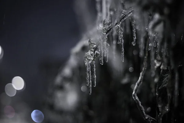 Bäume Und Äste Mit Eis Vereiste Bäume Märchenhaftes Setting — Stockfoto