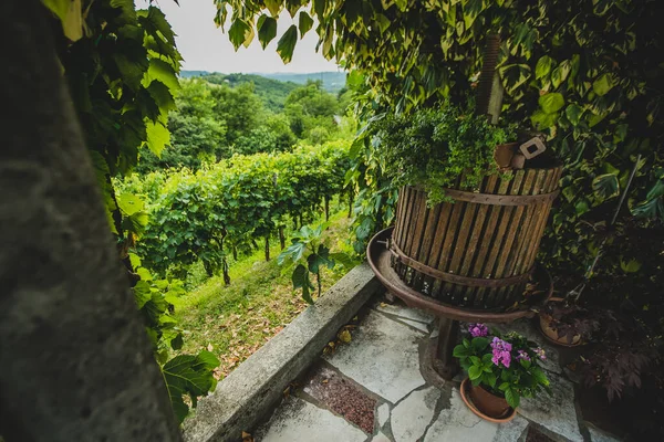 An old grape press for making wine is standing on a porch next to a lush green vineyard in the background.