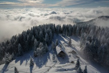 Slovenya, Blegos 'ta bir dağ kulübesi ya da kulübe, yukarıdan görünüyor, karlı ağaçlarla çevrili ve altında bir bulut denizi var. Bulutların üzerinde yükselen bir ev.
