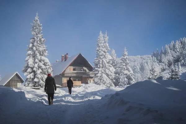 Groupe Personnes Marchant Vers Une Cabane Montagne Sur Blegos Slovénie — Photo