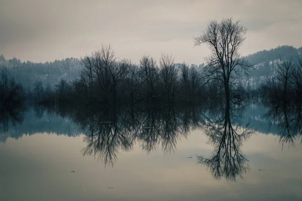 Flooded Fields Winter Trees Seen Standing Directly Out Water Planina — Stock Photo, Image