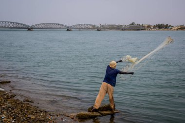 Senegalli bir balıkçı, bulutlu bir günde arka planda Faidherbe köprüsü ile Senegal nehrine ağ atıyor..