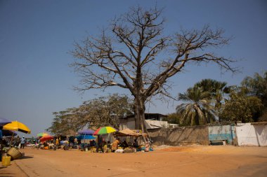 Senegal, Zuguinchor 'da güneş gözlüğü ve şemsiyelerle güneşli bir günde açık hava gıda pazarı. Arka planda büyük bir ağaç olan pazar.