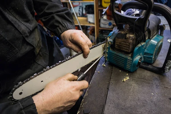 Mens Maakt Het Lemmet Van Een Kettingzaag Schoon Van Zaagsel — Stockfoto