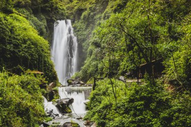 Cascadas de peguche, Otavalo yakınlarındaki yemyeşil bir çevrede küçük bir şelale..