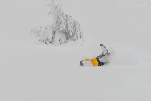 A snowboarder in powder snow about to crash in a curve. Boarder with yellow clothing with black trousers and orange board falling in deep powder on a cloudy day.