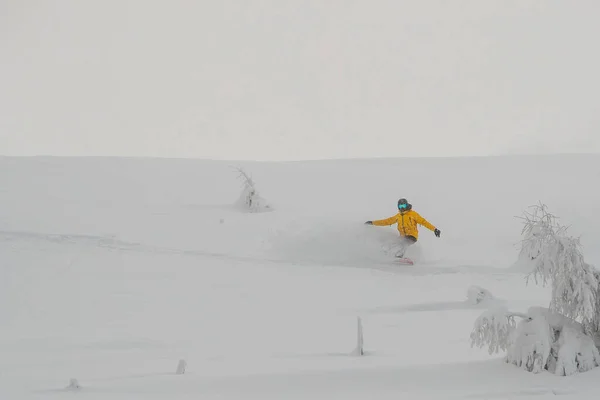 Snowboardzista Pudrowym Śniegu Schodzący Zakrętu Boarder Żółtą Odzieżą Czarnymi Spodniami — Zdjęcie stockowe