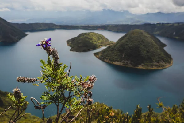 Guardando Verso Isola Sul Famoso Lago Cuicocha Ecuador Panorama Lago — Foto Stock
