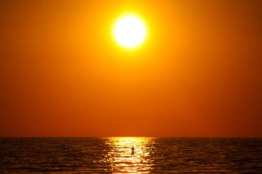 Puerto Escondido, Meksika 'da güneşli bir gecede SUP tahtasındaki bir adam güneşin altında kürek çekiyor. Güneşin altında bir keyif kavramı.