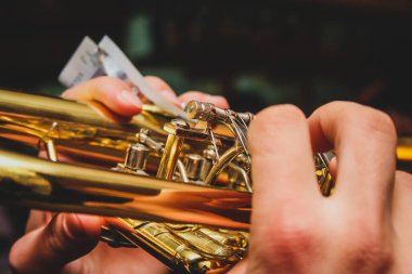Avro banknotunu elinde tutarken trompet çalan bir adamın elleri. Farklı yerlerde müzik çalarak para kazanma kavramı.