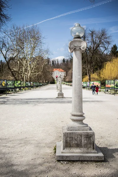 Ljubljana Slovinsko Dubna 2018 Jakopicevo Sprehajalisce Chodník Parku Tivoli Nebo — Stock fotografie